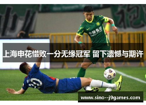 上海申花惜败一分无缘冠军 留下遗憾与期许